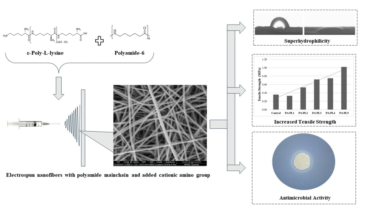 Graphical abstract showing the benefits (superhydrophilicity, increased tensile strength, antimicrobial activity) of the electrospun nanofiber. 