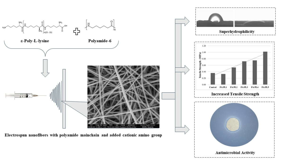 Development of Innovative Composite Nanofiber: Enhancing Polyamide-6 with ε-Poly-L-Lysine for Medical and Protective Textiles